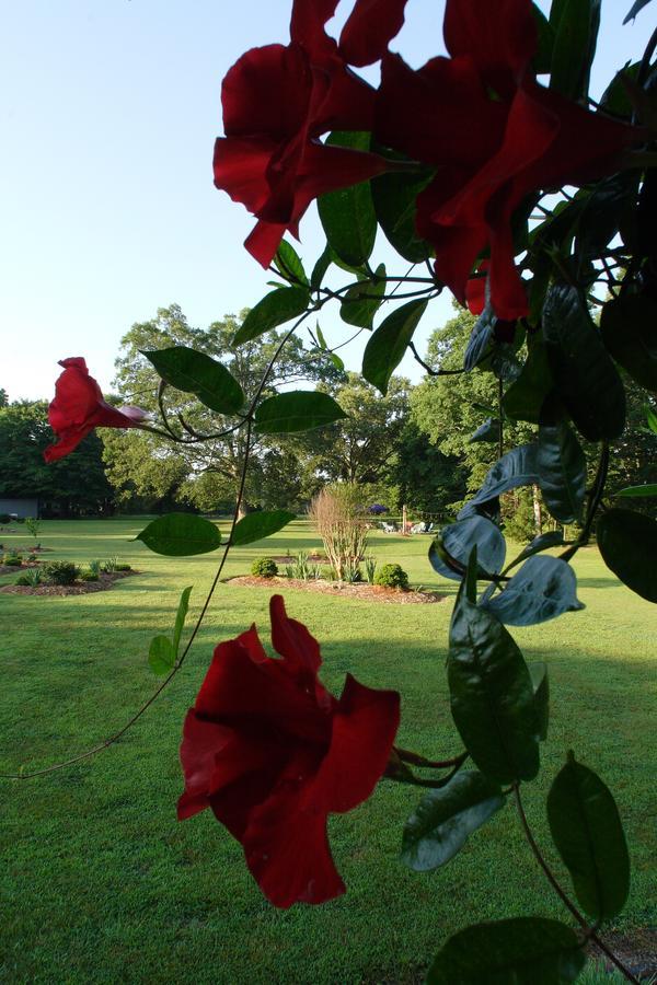 Seven Oaks Bed & Breakfast Highpoint Dış mekan fotoğraf